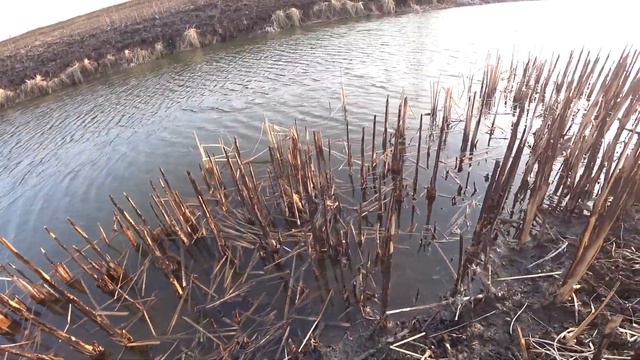 Рыбалка на ахтубе Весной