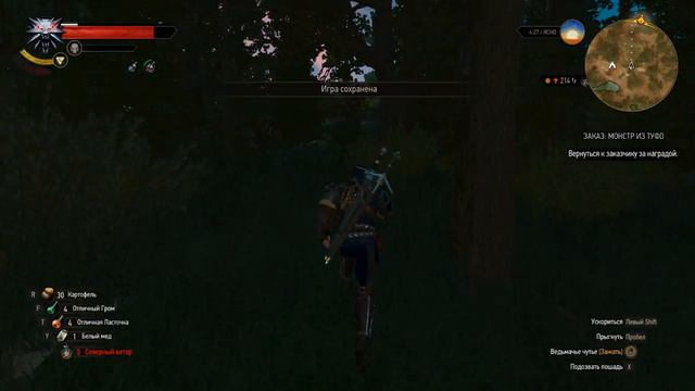 Witcher3 проходим DLC. Часть 12. Не девушка, а бревно.