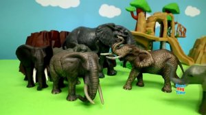 Disney The Lion King Toys plus Wild Zoo Animals Toys