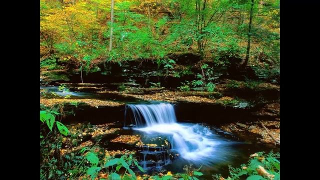 Природа Тонкого Тела. Природа тонкого тела, которое не умирает и переходит с нами из жизни в жизнь смотреть онлайн