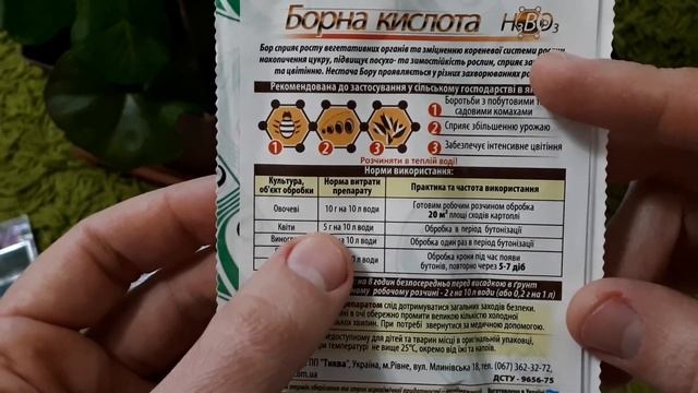 Пеларгонии до и после подкормки. Мои закупки удобрений смотреть онлайн