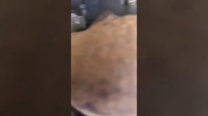 Выезд.MMC CANTER ДВС 4M51 ремонт топливной системы ТНВД и форсунок.На втором кантере замена кулисы