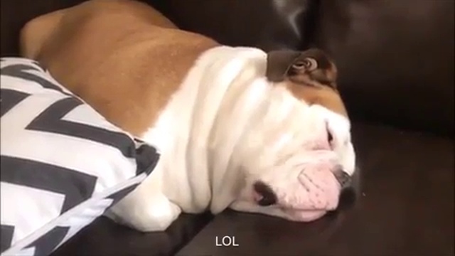 Угарный дрыхлёж смотреть онлайн