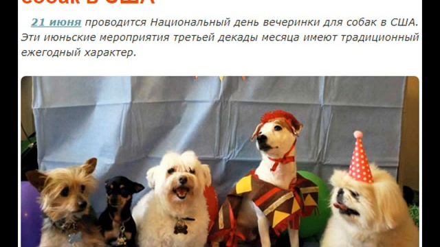 21 июня - Летнее солнцестояние, день йоги, скейтбординга, жирафа и возьми собаку на работу смотреть онлайн