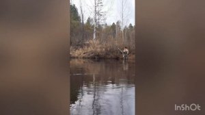 Рыбалка на хариуса в Иркутском районе. 04.05.2022