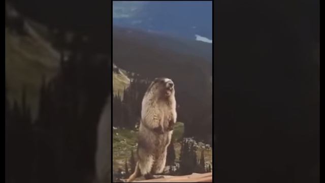 Когда дёшево продал свой мот #мото #эндуро #мотоцикл #байк #moto #прикол