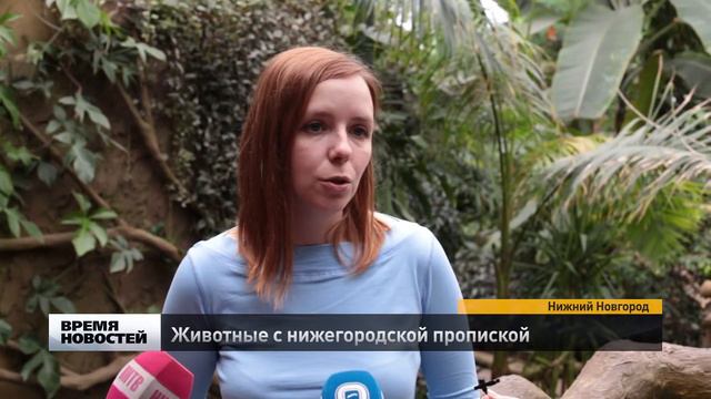 Животные с нижегородской пропиской смотреть онлайн