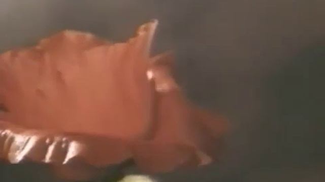 Движение растений тропизмы настии смотреть онлайн