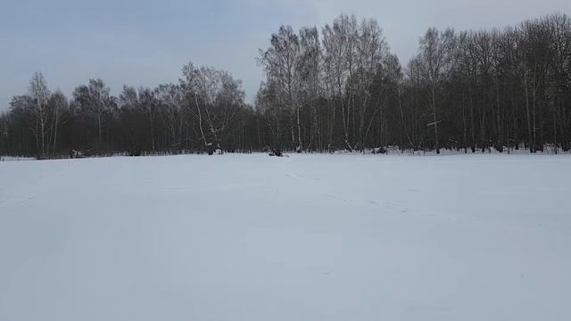 Поларис DRAGON 700 смотреть онлайн