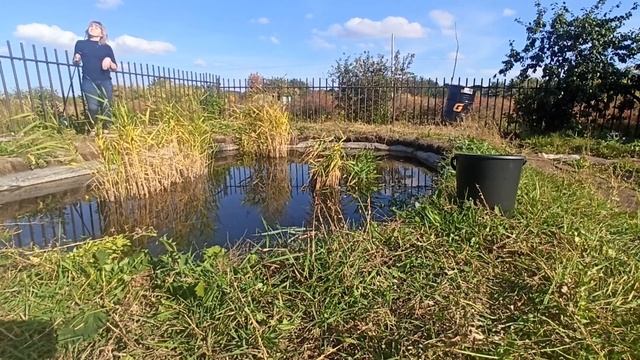рыбалка в своем пруду на даче смотреть онлайн