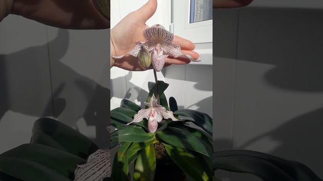 18 марта 2023 г. смотреть онлайн