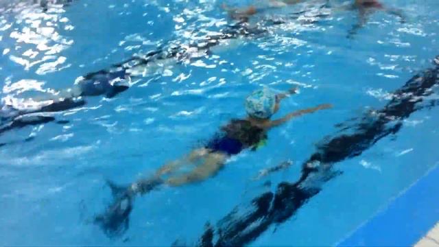 Группа начального плавания ПБ "РИФ" смотреть онлайн