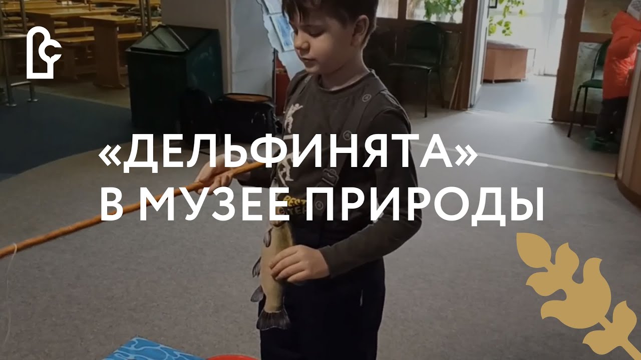 Программа для слепых и слабовидящих детей в Музее природы смотреть онлайн