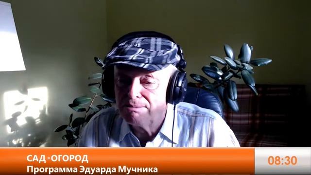 Можно ли вырастить в огороде лесные грибы, чем хорош амарант и другие вопросы огородников. смотреть онлайн