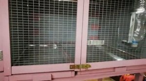 Клетка для кроликов породы французский баран часть 3