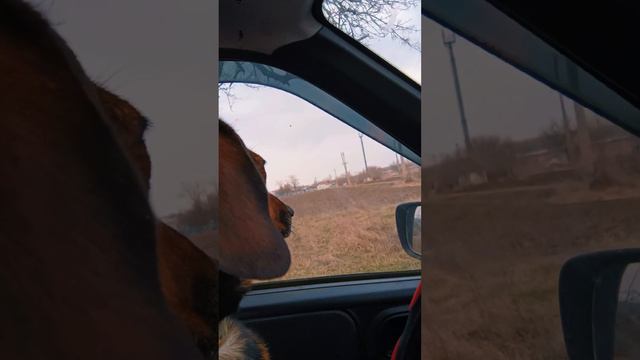 Первое вождение смотреть онлайн
