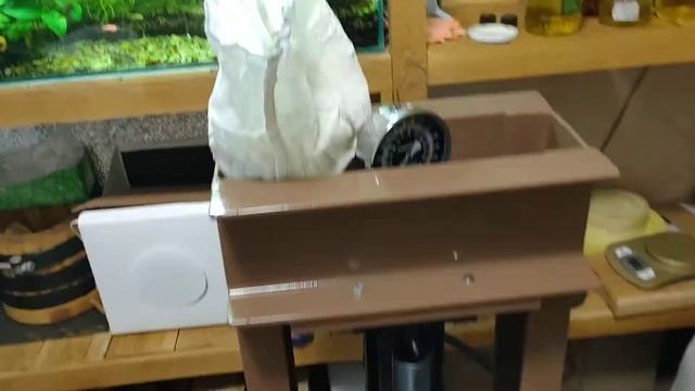 Мыть или не мыть? Вот в чём вопрос! Это о семенах перед выдавливанием. Подготовка сырья. смотреть онлайн