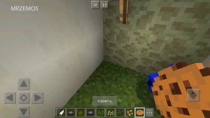 КАК ПРИРУЧИТЬ ПОПУГАЯ В MINECRAFT? | HOW TO TRAIN YOUR PARROT IN MINECRAFT?