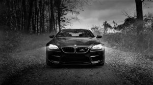 Стая - Лёша Стелит, Andery Toronto