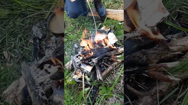 2часть похода в лес #бушкрафт #природа #тайга смотреть онлайн