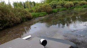 На каракате в болото...#каракат