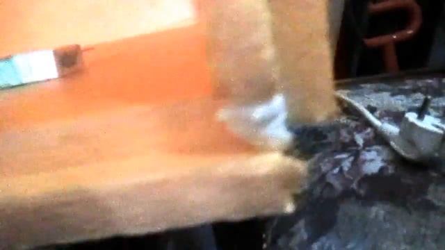 *САМОДЕЛКИН* Брудер для цыплят из пеноплекса! *НАШИ ЩЕНКИ***