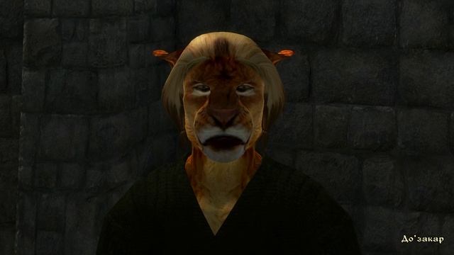 Bella & Anderson - Пример озвучки мода "Путь кулака и пятки" для Oblivion (Kurasagi) смотреть онлайн