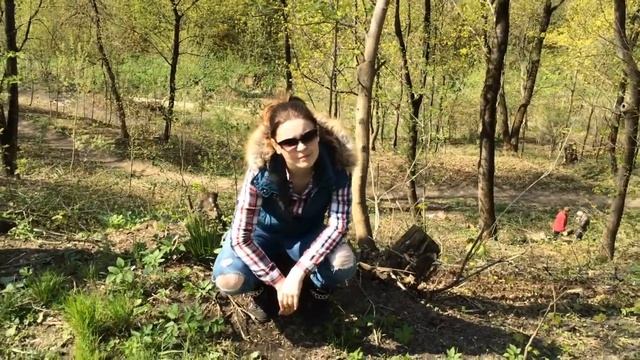 Прогулки по калуге - Лесной Фристаил смотреть онлайн