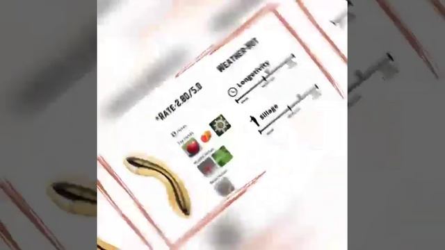 Best Azzaro Fragrance For Women | Azzaro Perfume | Azzaro Wanted Girl | Azzaro Chrome  - Redolence