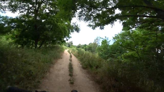 Краснодар 09.06.2019 ЖАРА 35 а я на велике. Река КУБАНЬ. НА Краю Краснодара смотреть онлайн