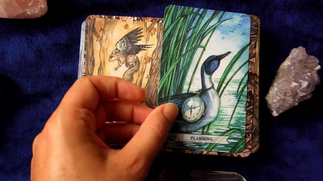 Thistledown Oracle?NEW RELEASE?Indie Deck?4K смотреть онлайн