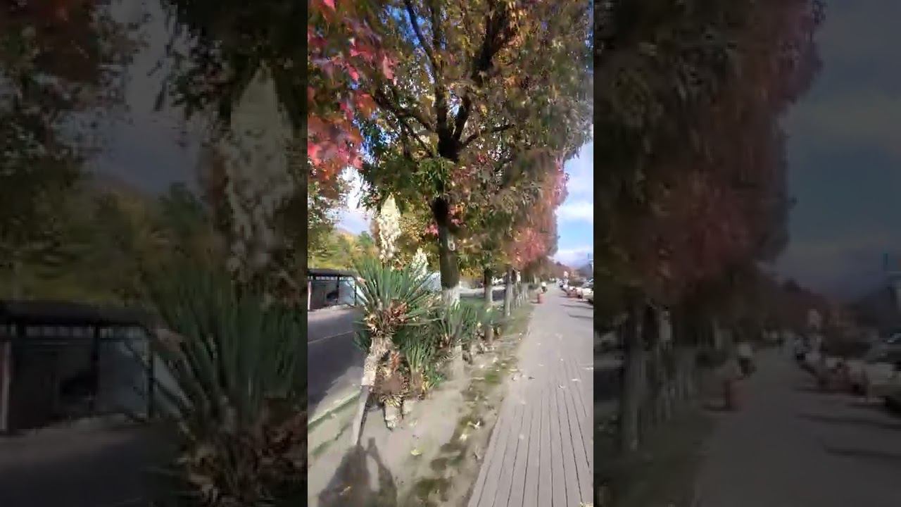 15.11.22 г. Погода Лазаревское #shorts #лазаревское2022 #погодалазаревское #погодасочи #сочи смотреть онлайн