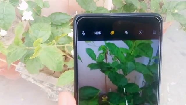 Poco M3 Pro Cheapest Camera and 5G Phones - My straight opinion ⚡ смотреть онлайн