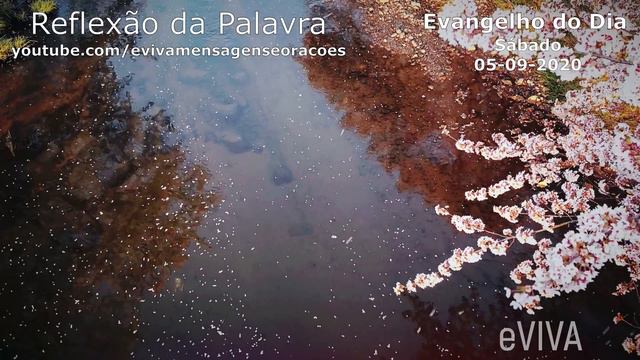 EVANGELHO DO DIA 05/09/2020 Narrado e Comentado - LITURGIA DIÁRIA - HOMILIA DIARIA HOJE LUCAS 6,1-5 смотреть онлайн