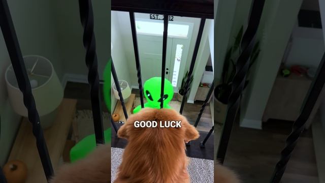 Here Come the Men in Bork смотреть онлайн