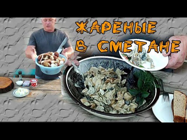 Приготовил Белые грибы таким способом был не разочарован этим невероятным грибным вкусом смотреть онлайн