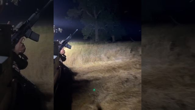 World Record for Hogs Eliminated in Less Than 30 Seconds смотреть онлайн