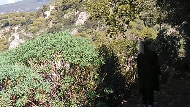 Мыс Сен-Жан-Кап-Ферра обошли пешком. Le Cap Saint-Jean-Cap-Ferrat contourné à pied. смотреть онлайн