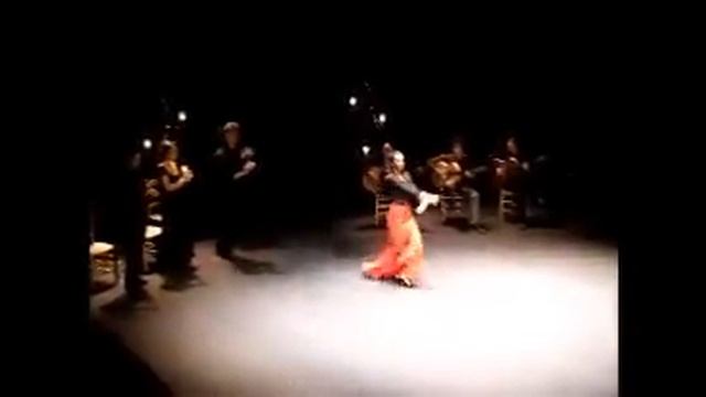 Puro Arte Flamenco 2009 - María Távora - PhotoHispalis 2009 copyright - Miguel A Vallet смотреть онлайн