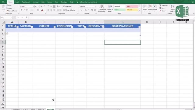FACTURA EN EXCEL 7 de 9: TRUCOS DE RESUMEN Y DETALLE DE FACTURA смотреть онлайн