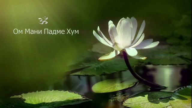 Летний практикум богини. Богиня Тара. смотреть онлайн