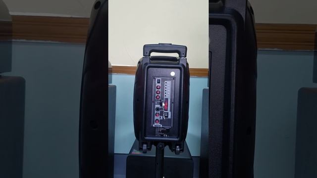 PA system 100W portable speaker trolley speaker with wired mic BT Speaker смотреть онлайн