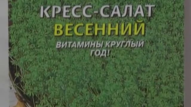 Дачные советы 19.12.2013 смотреть онлайн