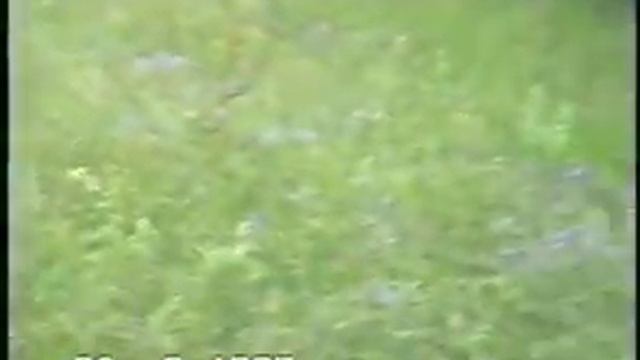 Еще Льгов июнь 1997 смотреть онлайн