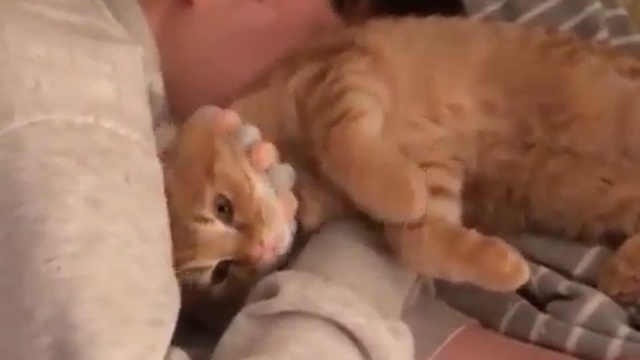 Спокойной ночи! смотреть онлайн