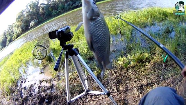 Харабали. Махалка против фидера. смотреть онлайн