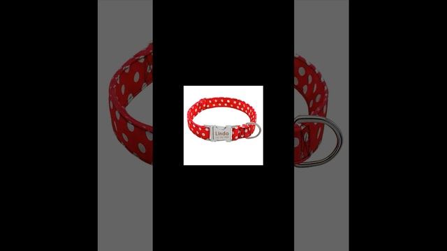 Именной ошейник с aliexpress #shorts смотреть онлайн