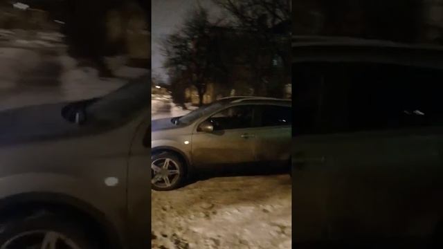 Животное семейства Старых!!! смотреть онлайн