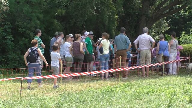 Schafschurfest in Bornheim Pfalz 2018 смотреть онлайн