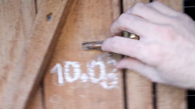 Кролики//Черная готовится смотреть онлайн